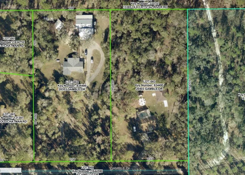 20403 GAMBLE DRIVE Brooksville, FL 34601