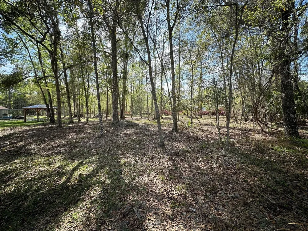 20403 GAMBLE DRIVE Brooksville, FL 34601
