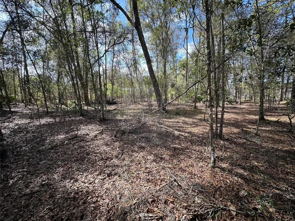 20403 GAMBLE DRIVE Brooksville, FL 34601