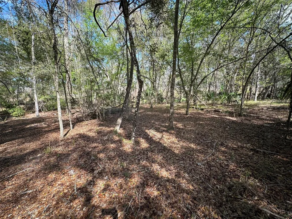 20403 GAMBLE DRIVE Brooksville, FL 34601