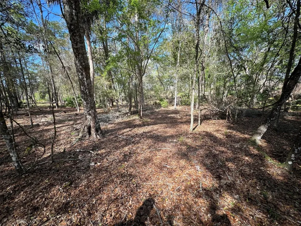 20403 GAMBLE DRIVE Brooksville, FL 34601