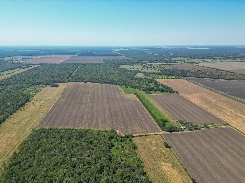 16631 Baker Cr 522 Road Guy, TX 77444