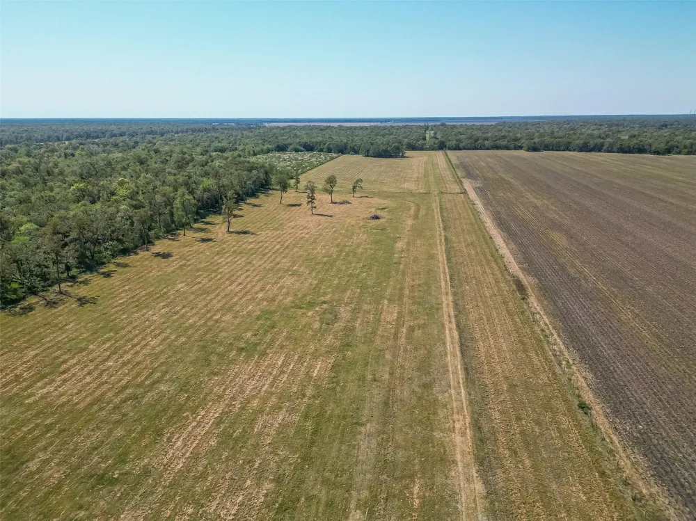 16631 Baker Cr 522 Road Guy, TX 77444
