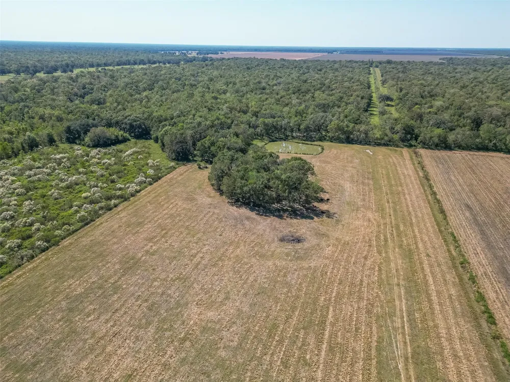 16631 Baker Cr 522 Road Guy, TX 77444