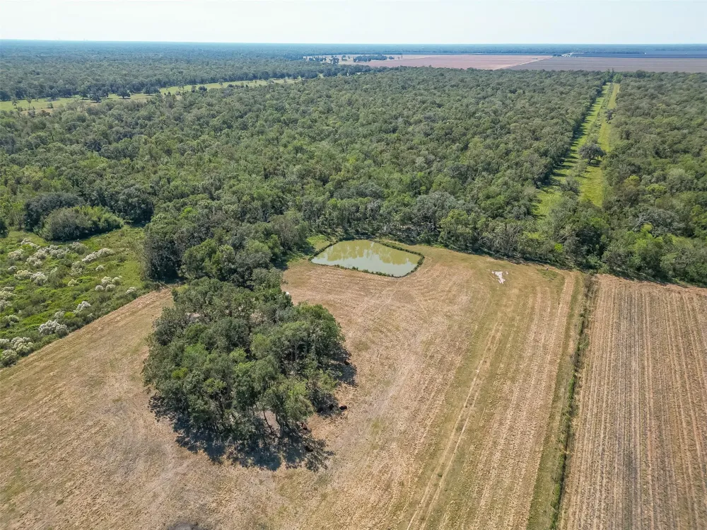 16631 Baker Cr 522 Road Guy, TX 77444