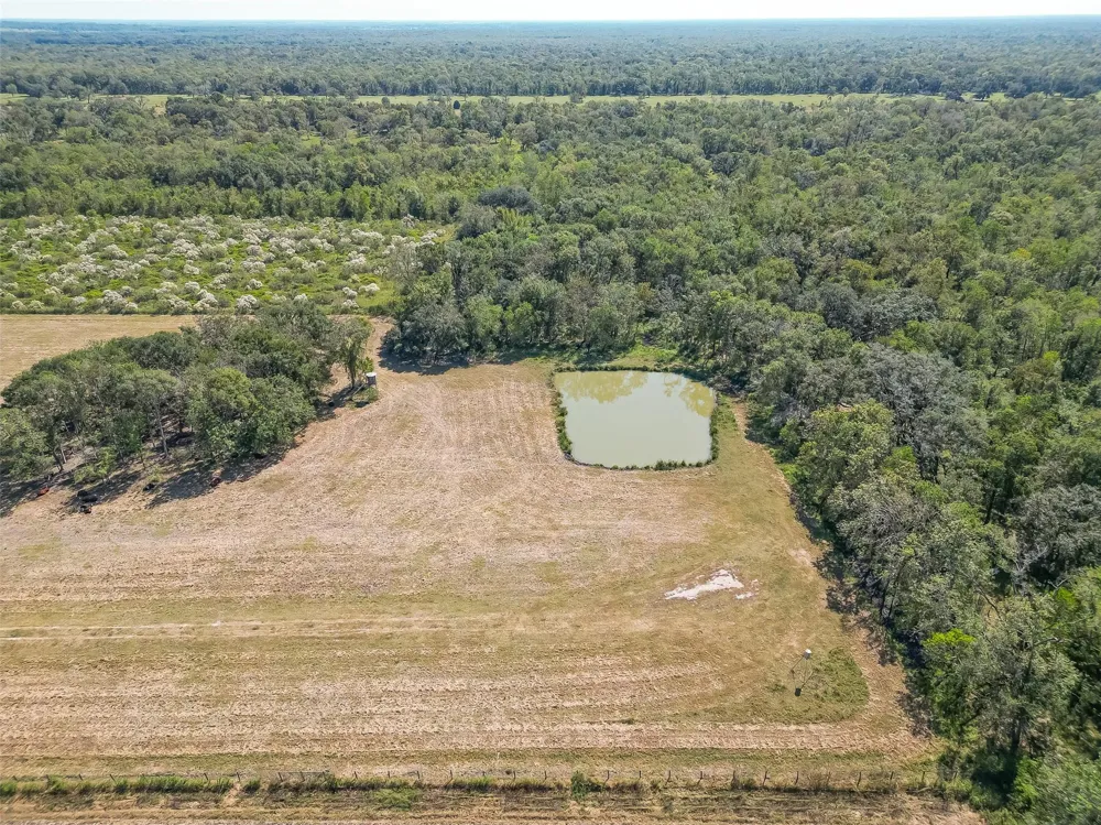 16631 Baker Cr 522 Road Guy, TX 77444