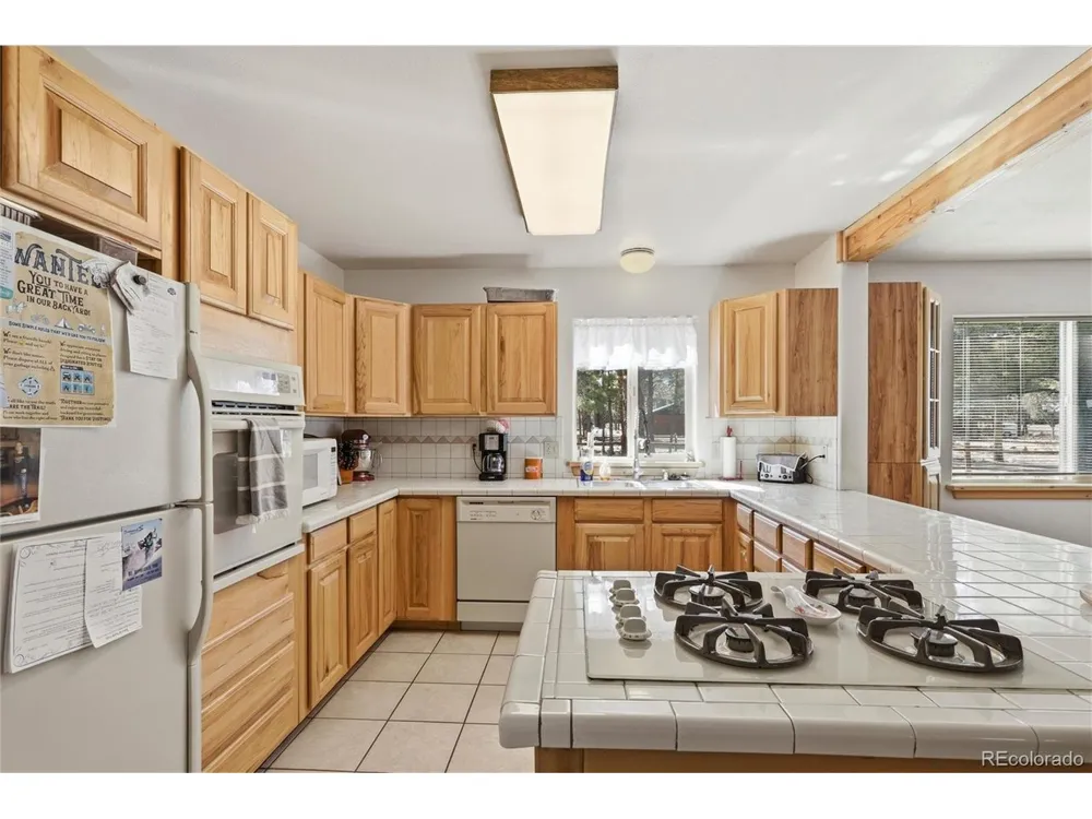 100 Spruce Drive South Fork, CO 81154