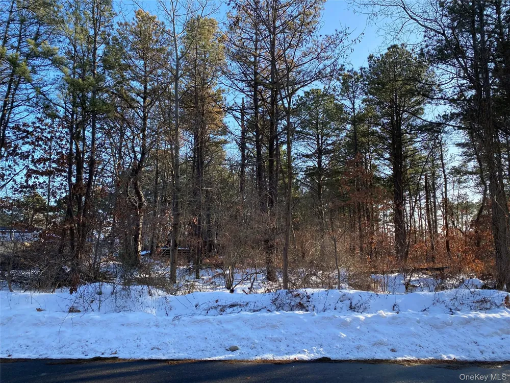 Agamemnon Avenue Bellport, NY 11713
