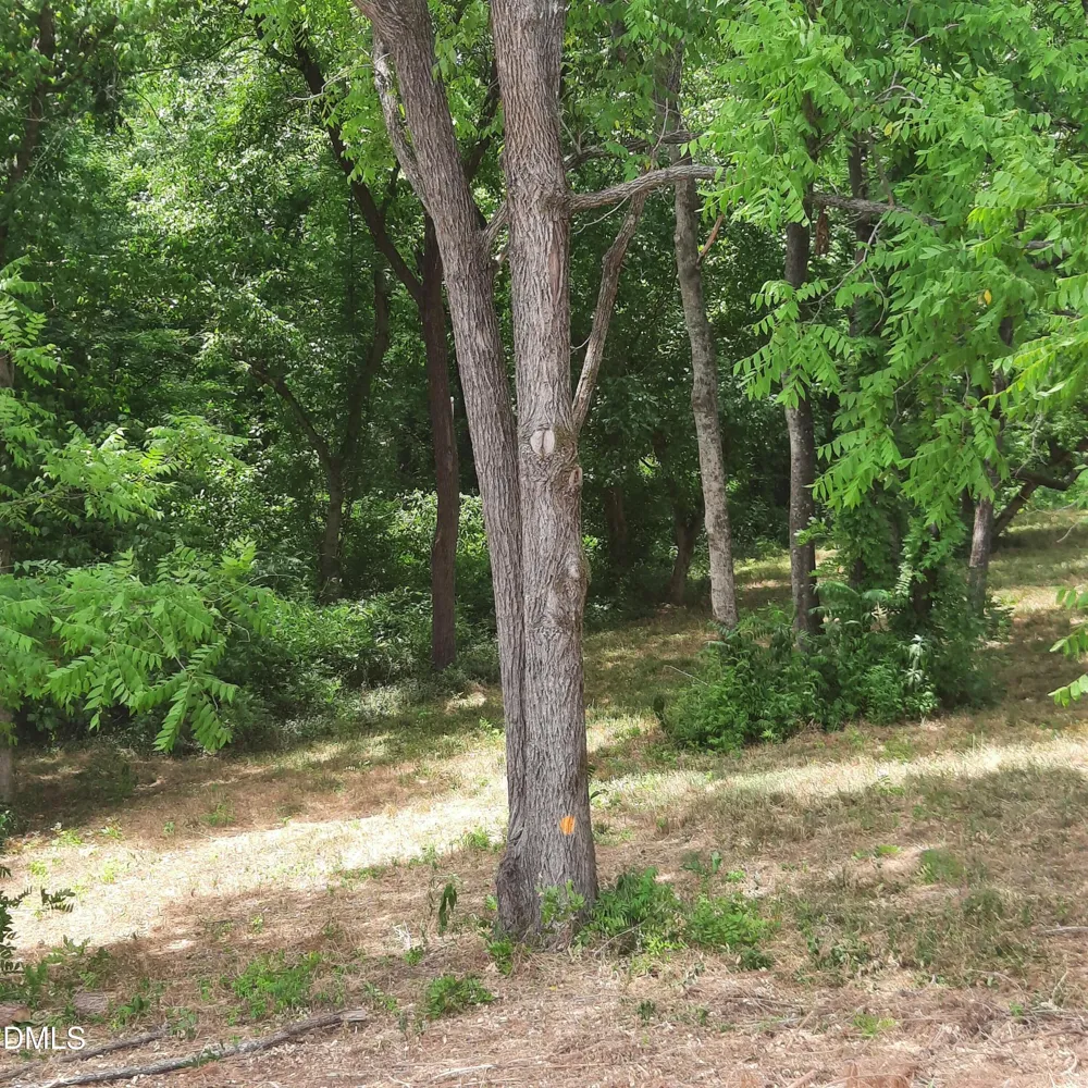 324 Allison Street Hillsborough, NC 27278