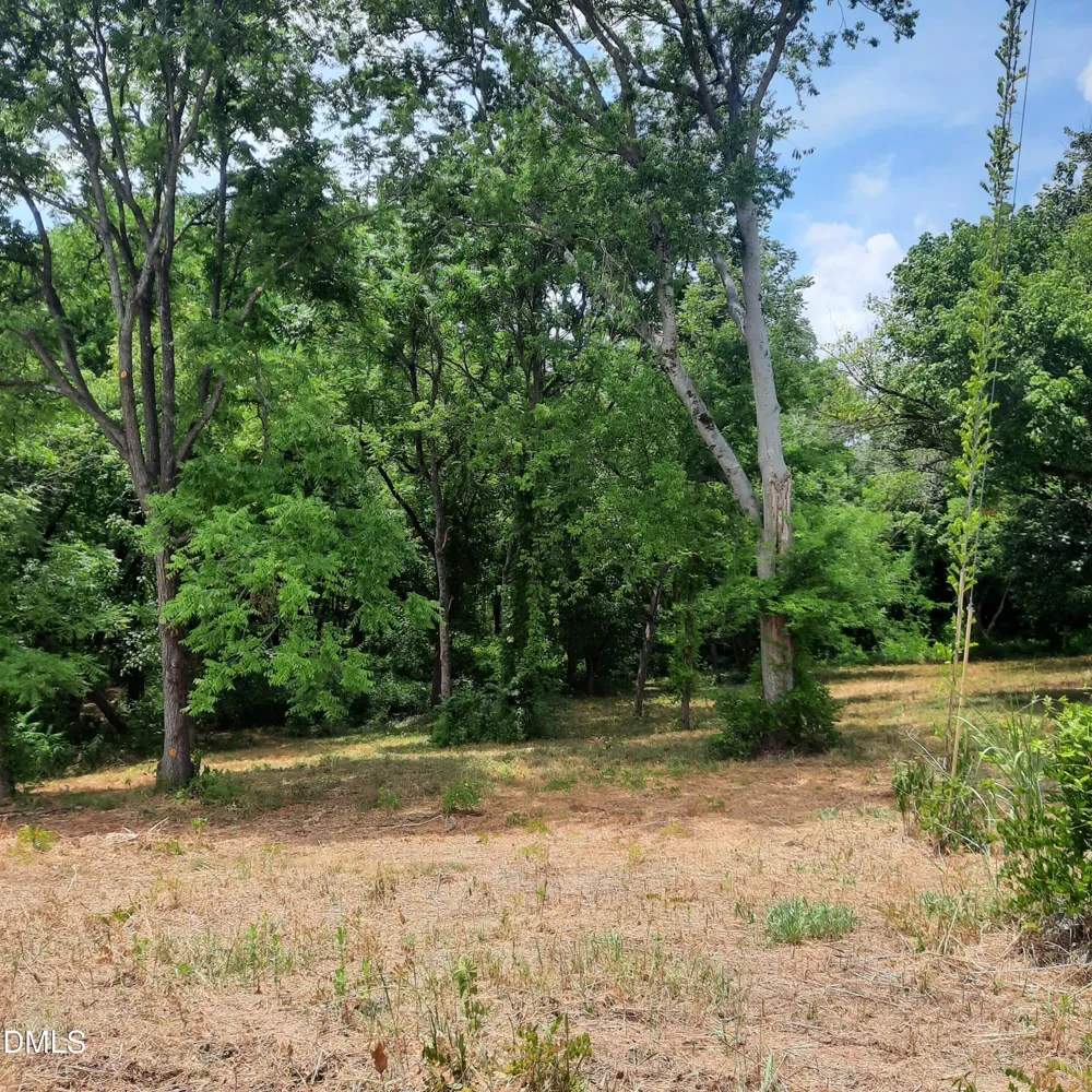 324 Allison Street Hillsborough, NC 27278