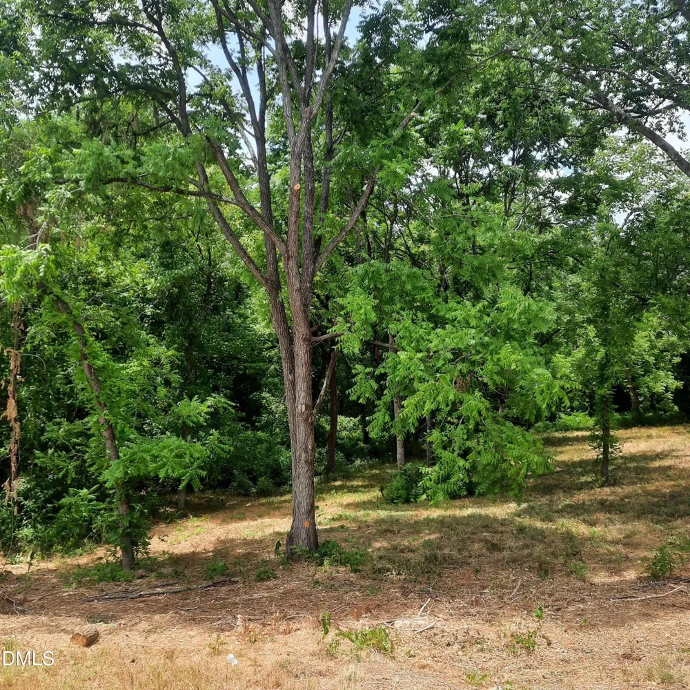 324 Allison Street Hillsborough, NC 27278