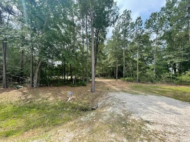 28171 Joseph Road Hockley, TX 77447