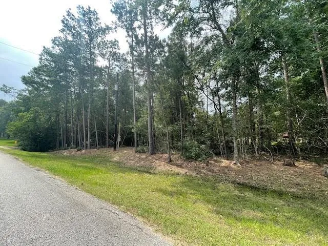 28171 Joseph Road Hockley, TX 77447