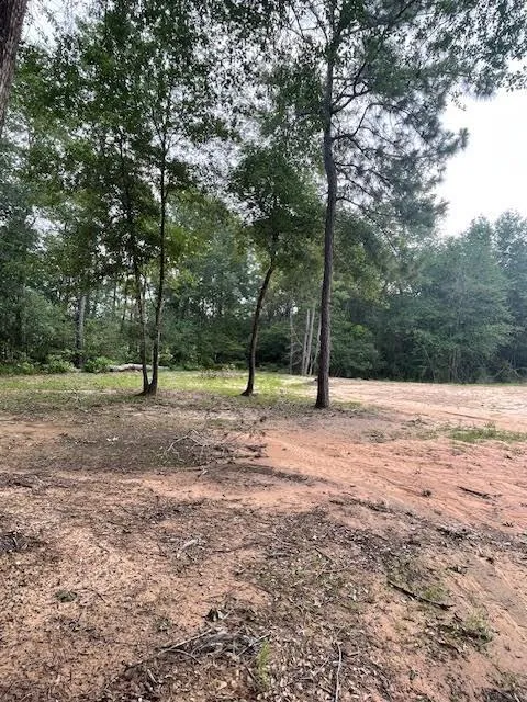 28171 Joseph Road Hockley, TX 77447