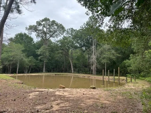 28171 Joseph Road Hockley, TX 77447