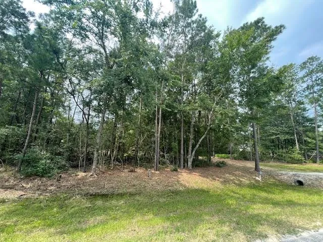 28171 Joseph Road Hockley, TX 77447