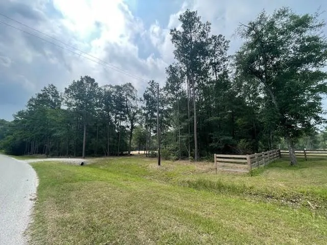 28171 Joseph Road Hockley, TX 77447