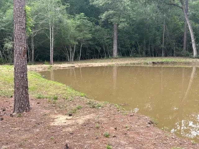 28171 Joseph Road Hockley, TX 77447