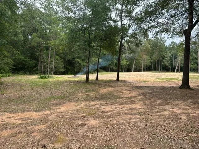 28171 Joseph Road Hockley, TX 77447