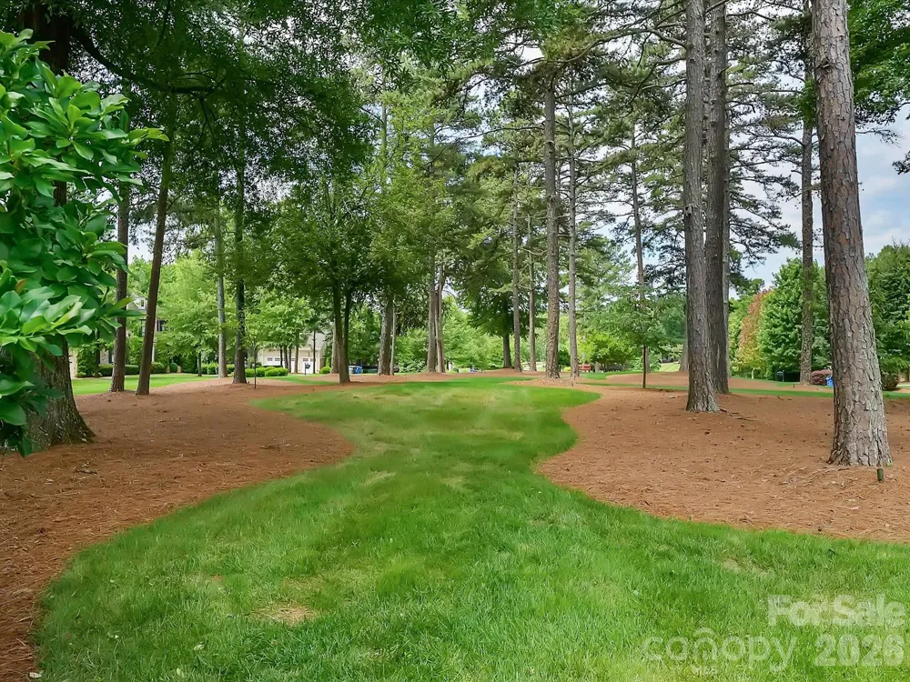 4231 Piaffe Avenue Mint Hill, NC 28227