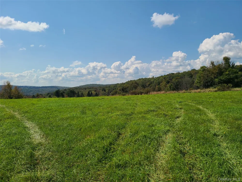 356 Gabel Road Callicoon, NY 12723