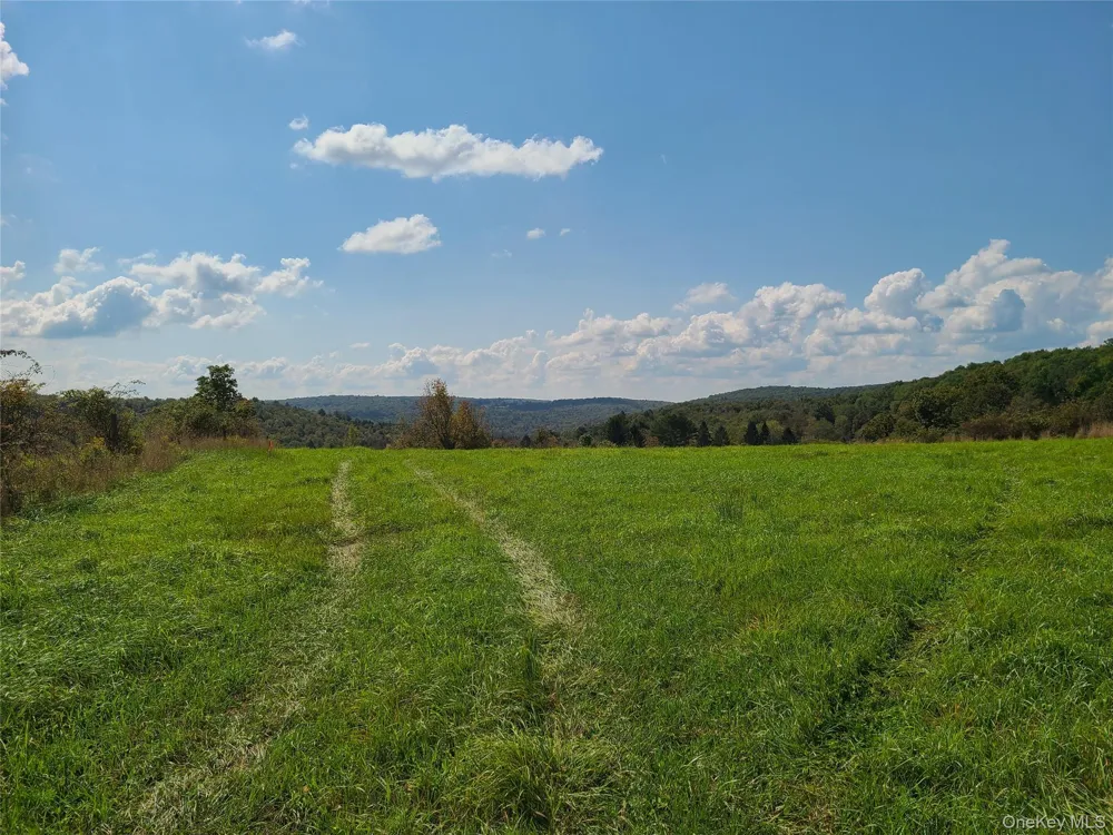 356 Gabel Road Callicoon, NY 12723