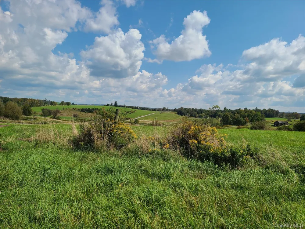 356 Gabel Road Callicoon, NY 12723