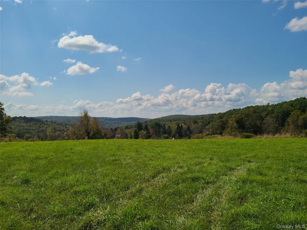 356 Gabel Road Callicoon, NY 12723
