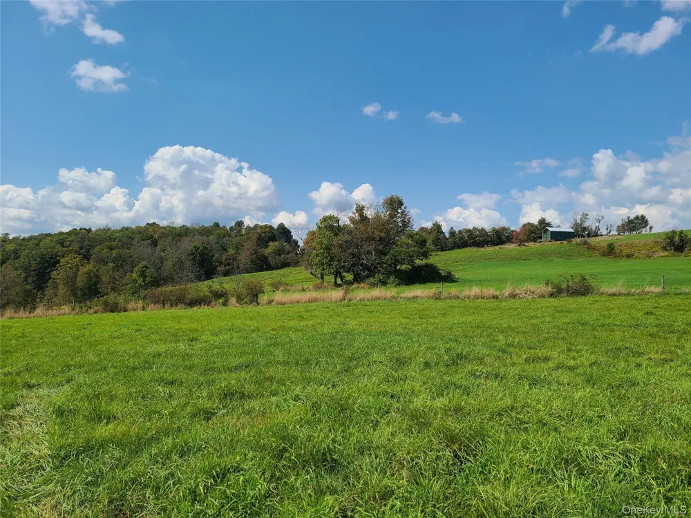 356 Gabel Road Callicoon, NY 12723