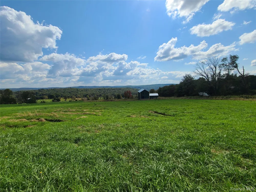 356 Gabel Road Callicoon, NY 12723