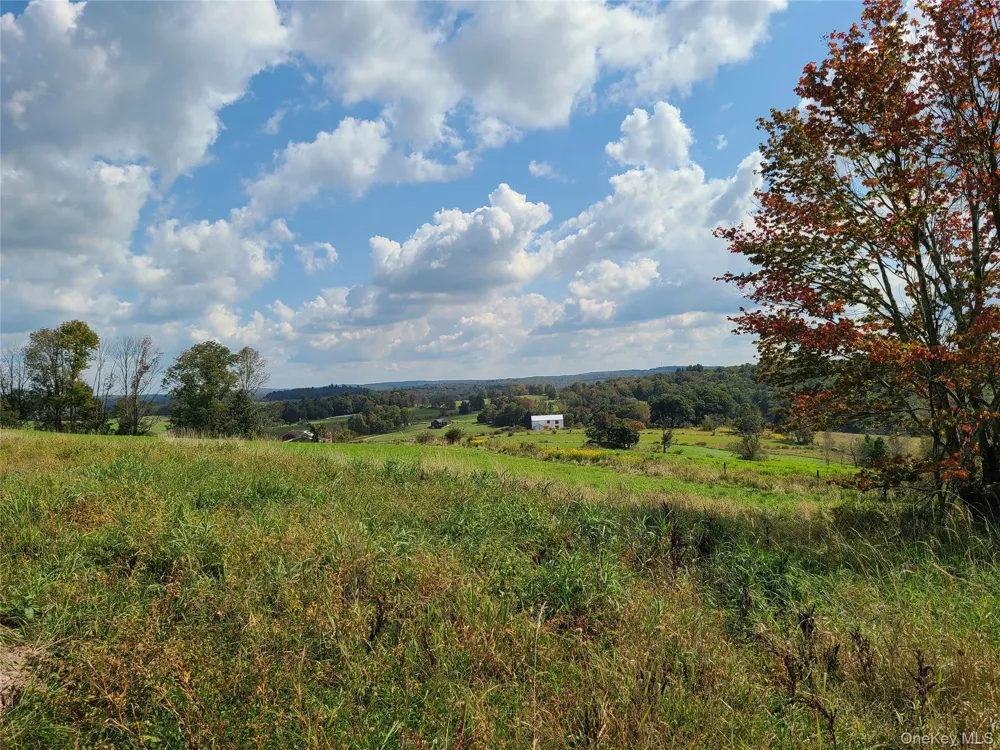 356 Gabel Road Callicoon, NY 12723