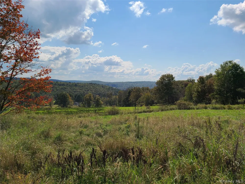 356 Gabel Road Callicoon, NY 12723