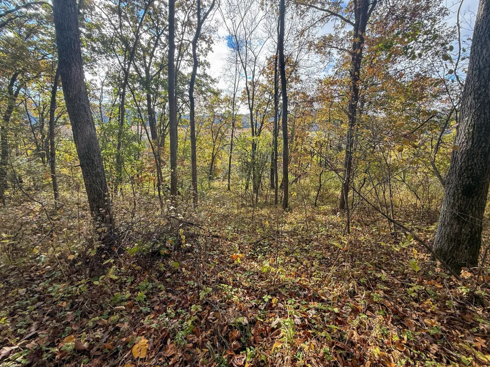 tbd County 26 Houston, MN 55943