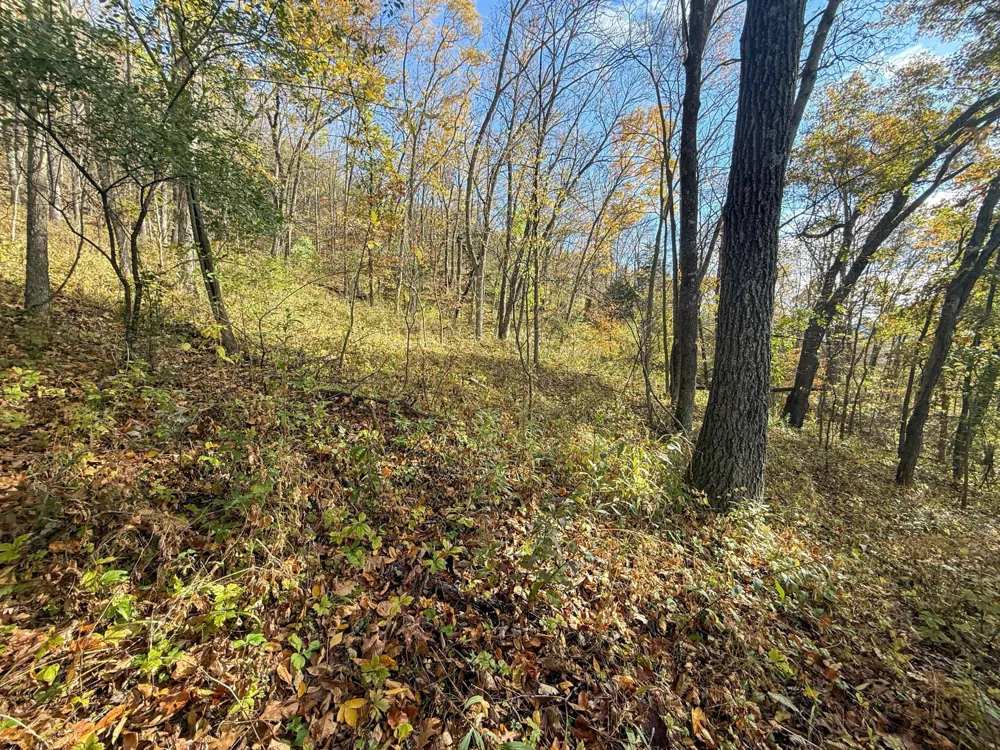 tbd County 26 Houston, MN 55943