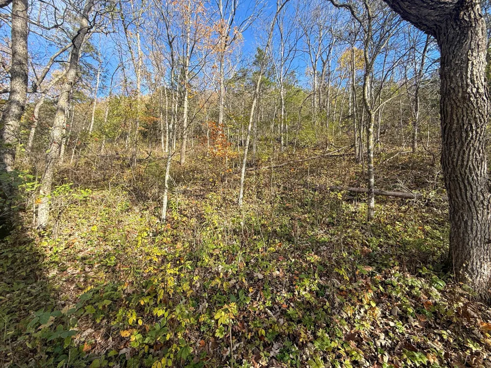 tbd County 26 Houston, MN 55943