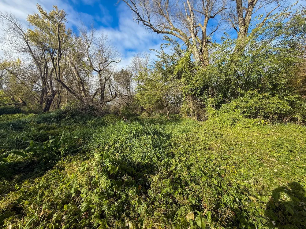 tbd County 26 Houston, MN 55943