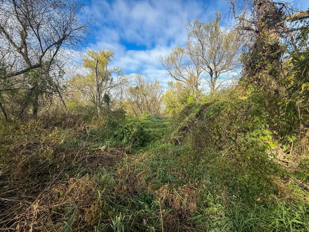 tbd County 26 Houston, MN 55943