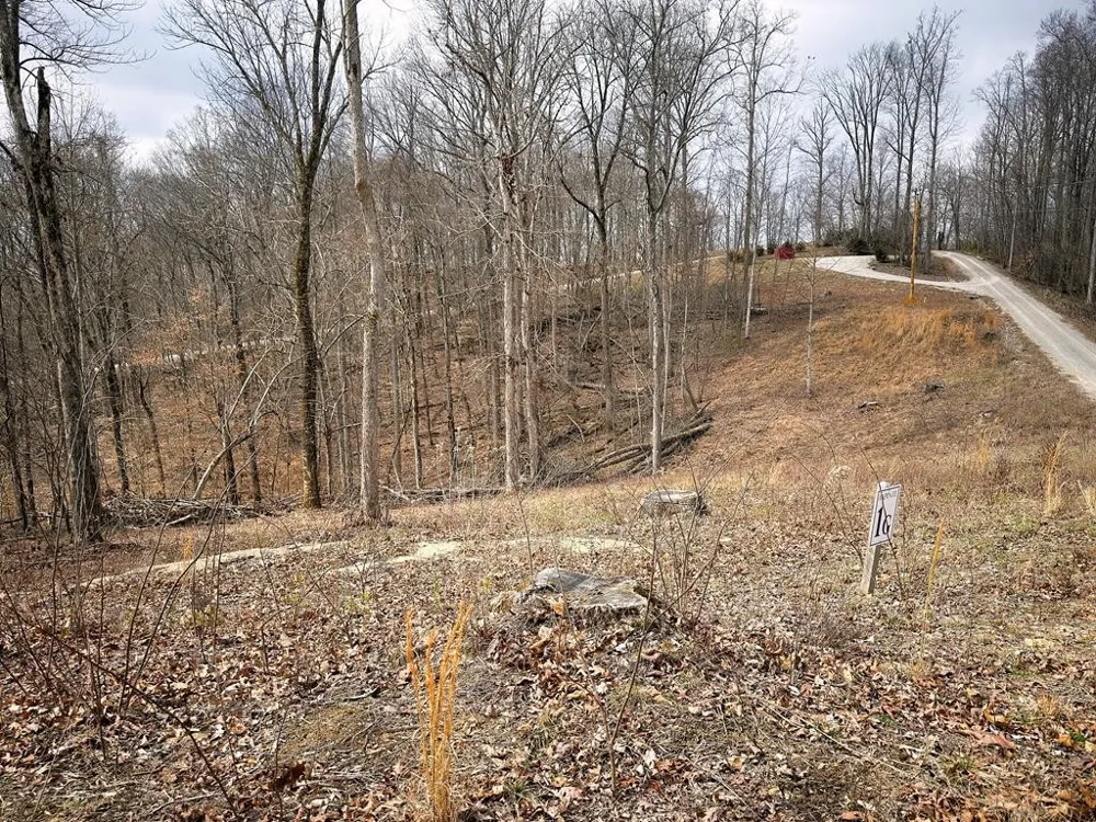 50D Crappie Lane Hilham, TN 38568