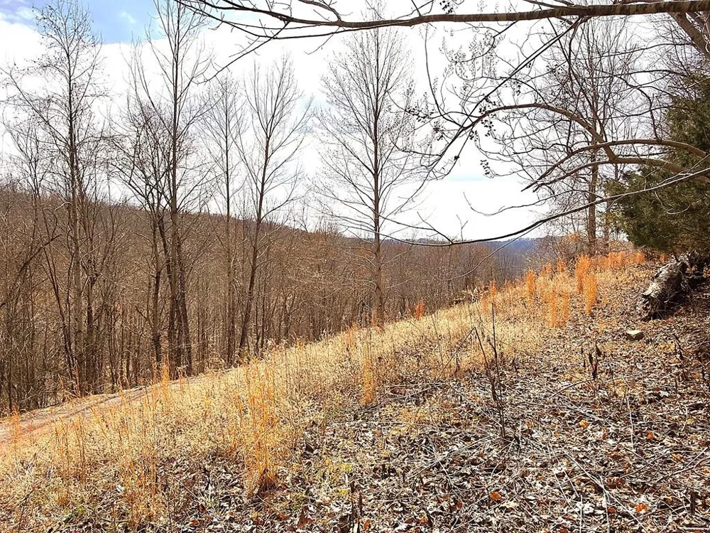 50D Crappie Lane Hilham, TN 38568