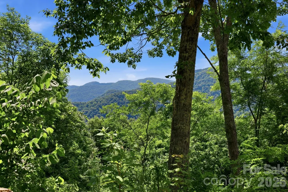 5 Lila Lane #B Clyde, NC 28721