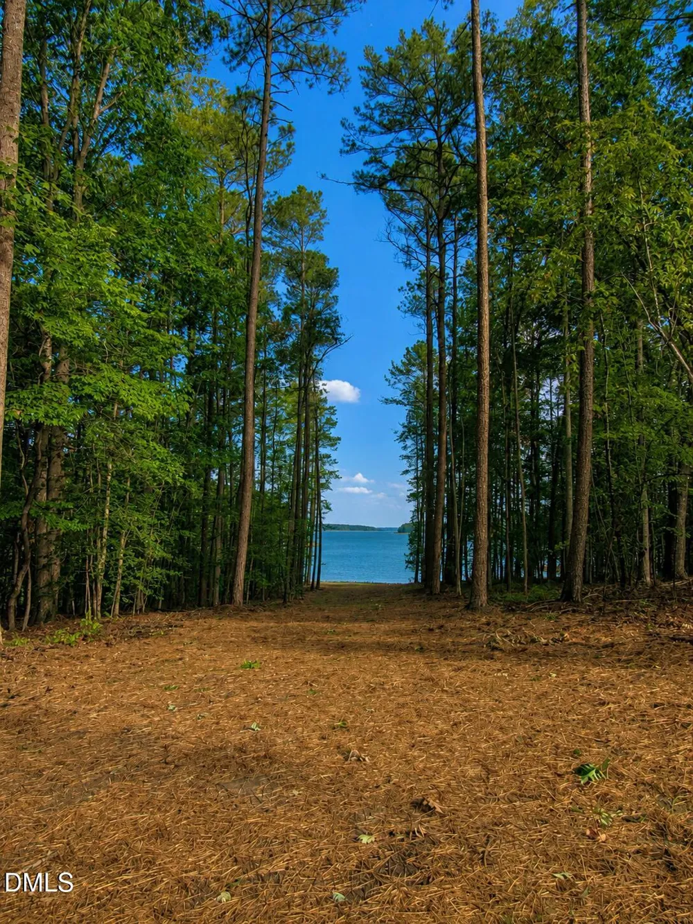 104 Shoreline Drive Manson, NC 27553