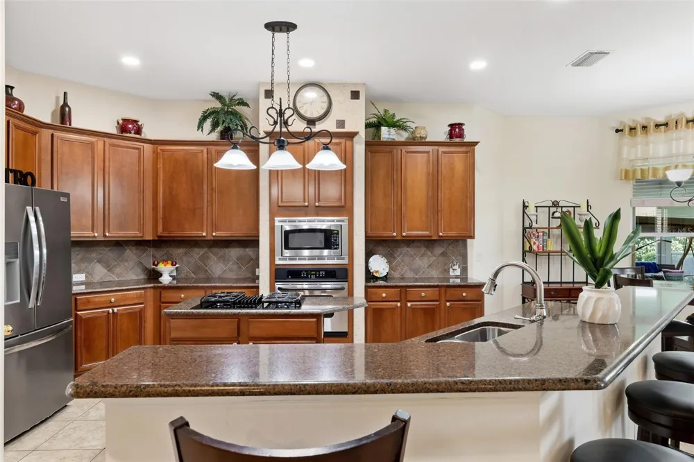 19737 PRINCE BENJAMIN DRIVE Lutz, FL 33549