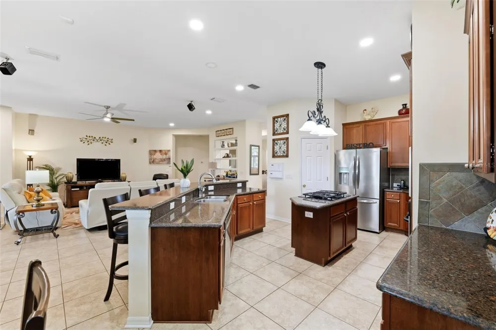 19737 PRINCE BENJAMIN DRIVE Lutz, FL 33549