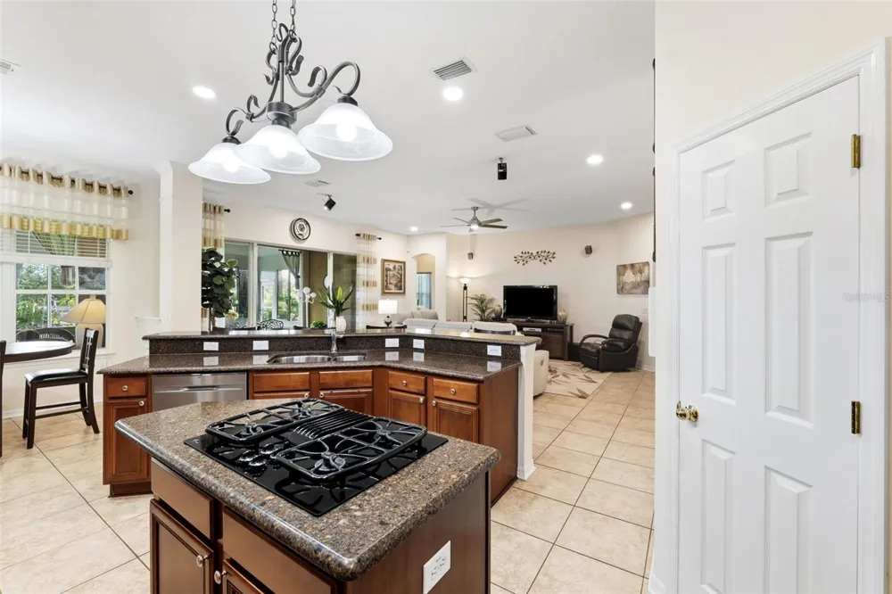 19737 PRINCE BENJAMIN DRIVE Lutz, FL 33549