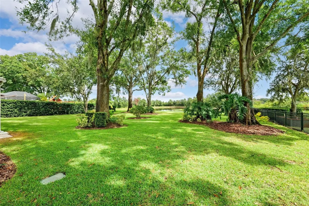 19737 PRINCE BENJAMIN DRIVE Lutz, FL 33549