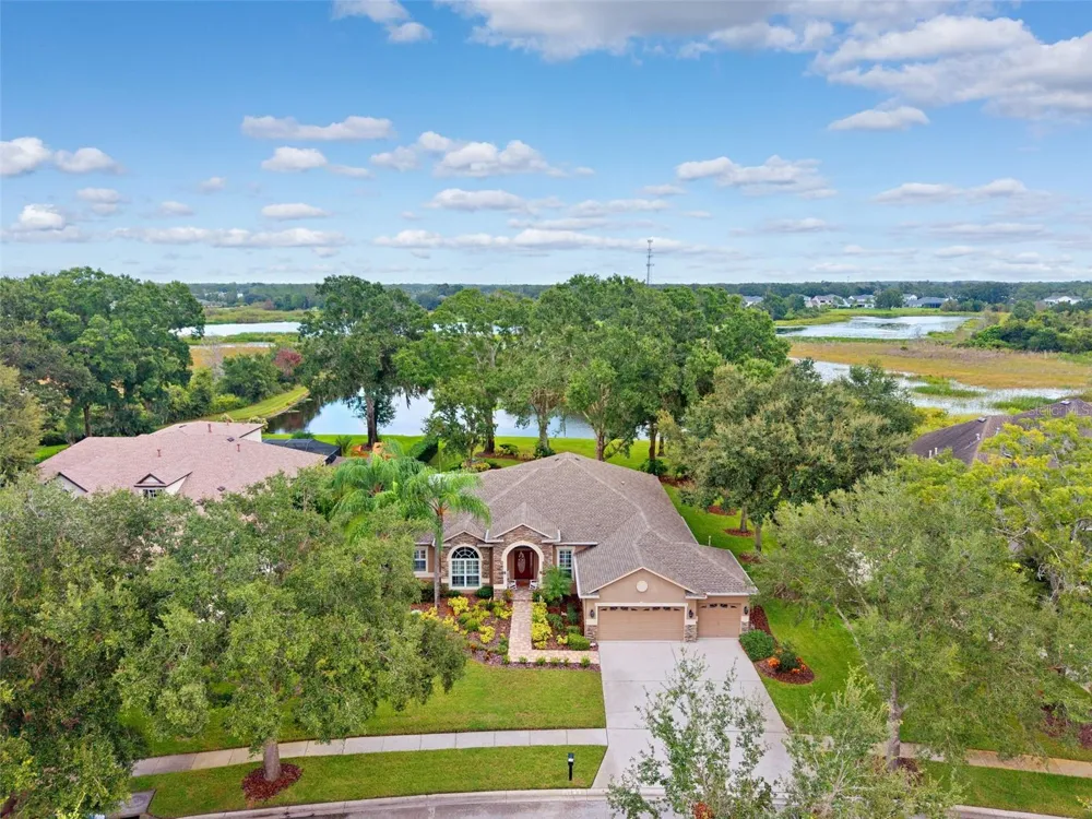 19737 PRINCE BENJAMIN DRIVE Lutz, FL 33549