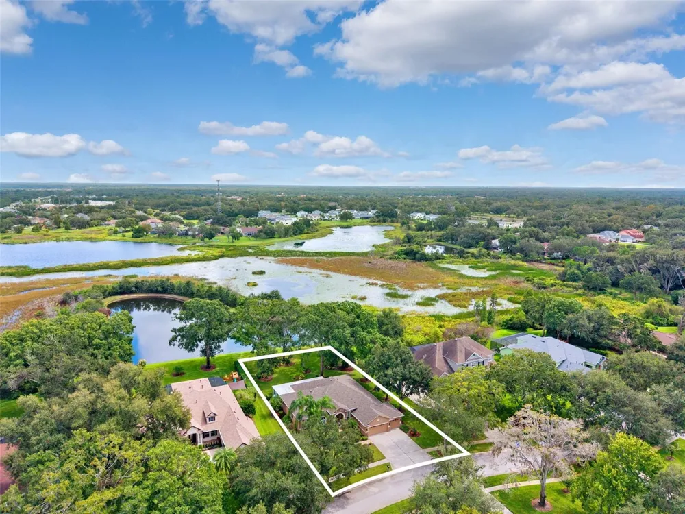 19737 PRINCE BENJAMIN DRIVE Lutz, FL 33549