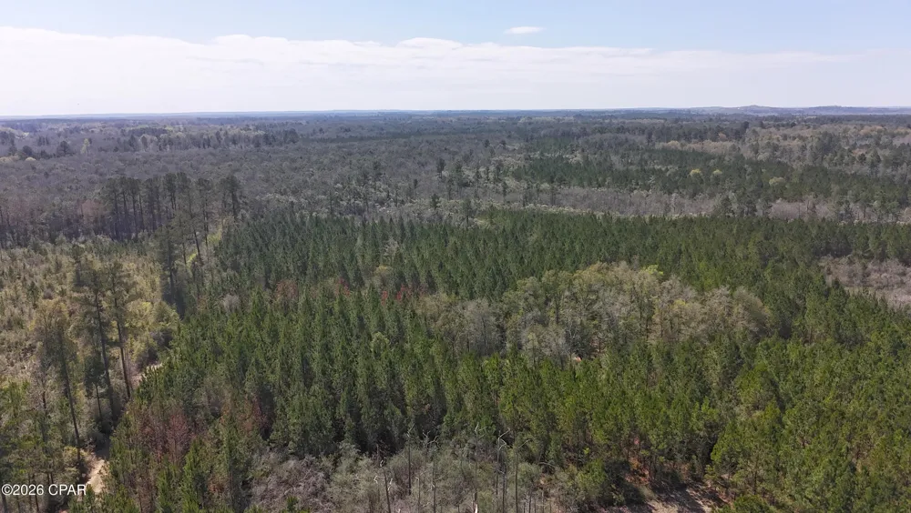 6416 N Brock Road #N40 Caryville, FL 32427