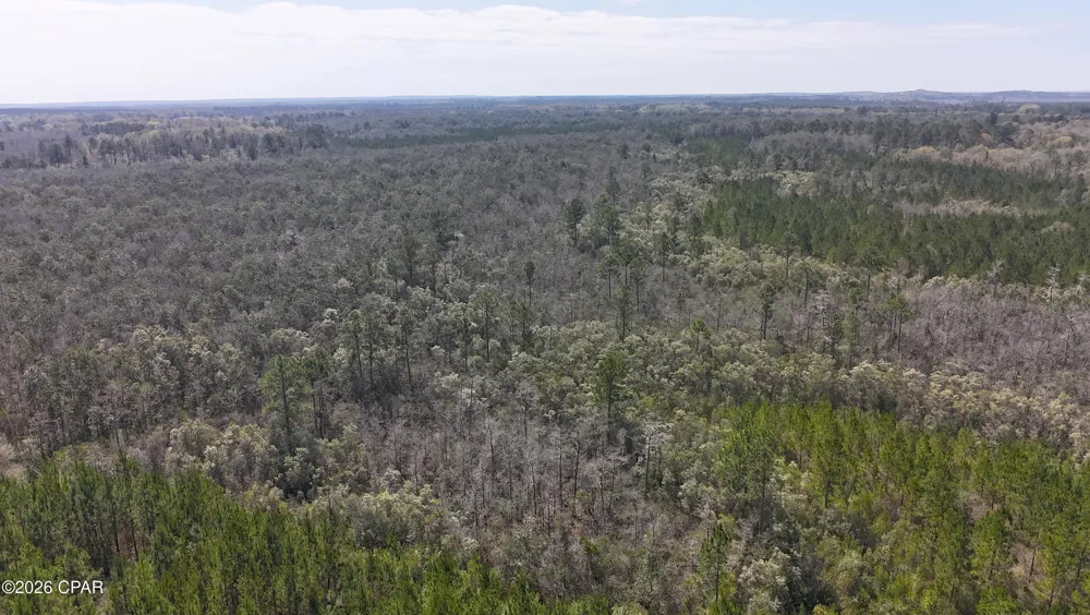 6416 N Brock Road #N40 Caryville, FL 32427
