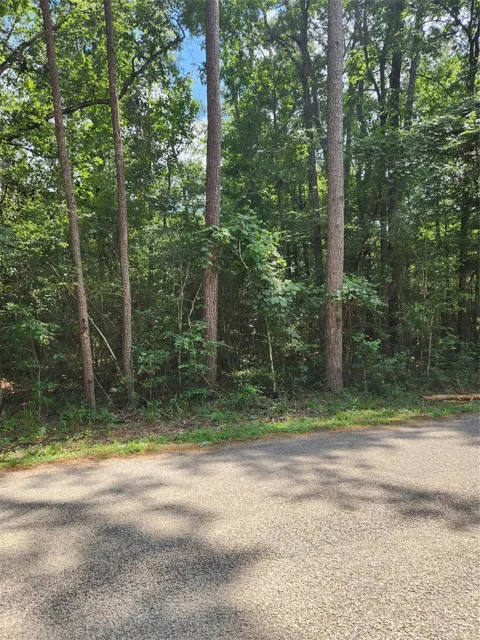County Road 373